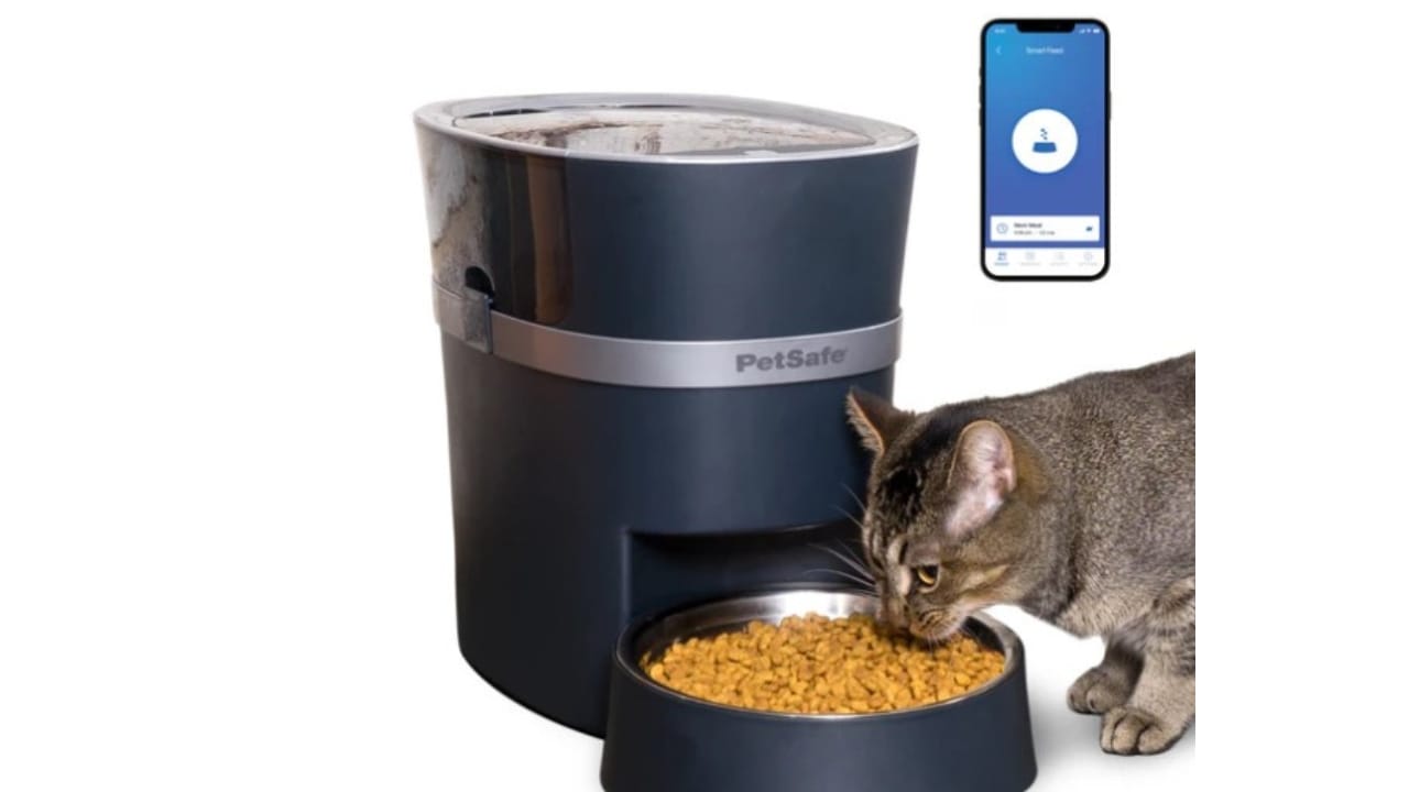 17 Apps Every Pet Owner Should Download Right Now 6 17 Apps Every Pet Owner Should Download Right Now - PetSafe Smart Feed Automatic Pet Feeder App