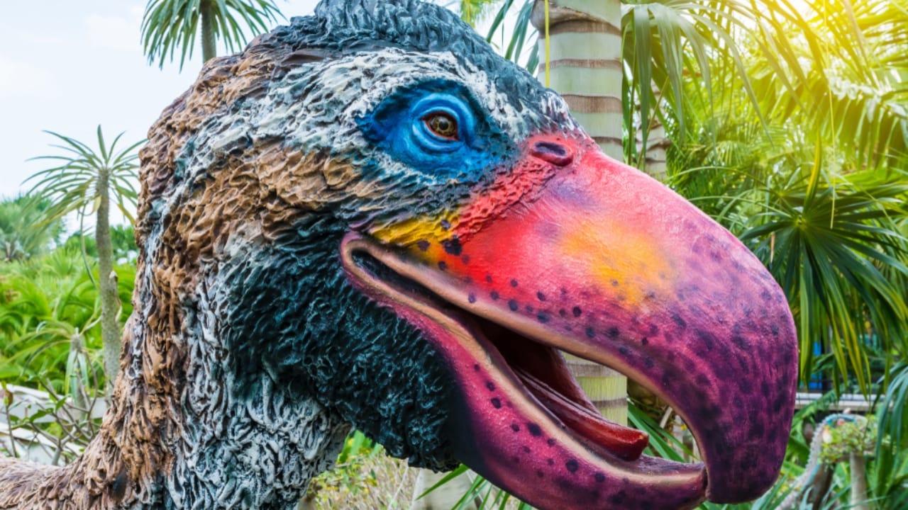 14 Ancient Beasts That Would Make T-Rex Look Tame 3 14 Ancient Beasts That Would Make T-Rex Look Tame - Phorusrhacidae ss1429220525