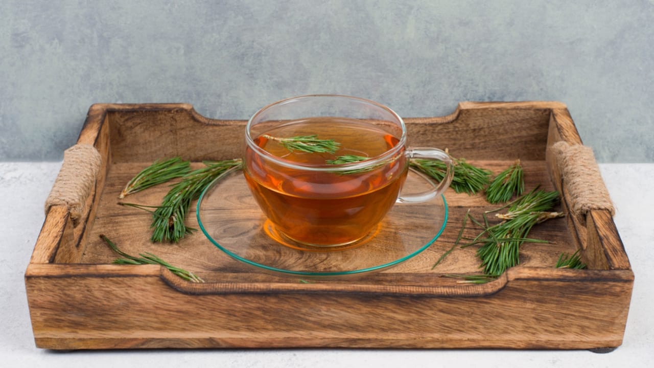 The Power of Pine Needles: 14 Health & Practical Benefits - Pine needle tea dp494141706