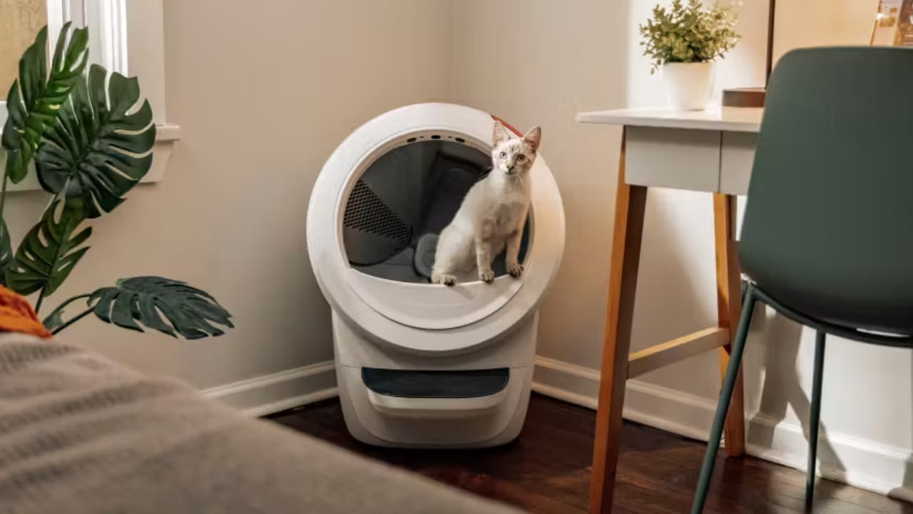 17 Apps Every Pet Owner Should Download Right Now 12 17 Apps Every Pet Owner Should Download Right Now -