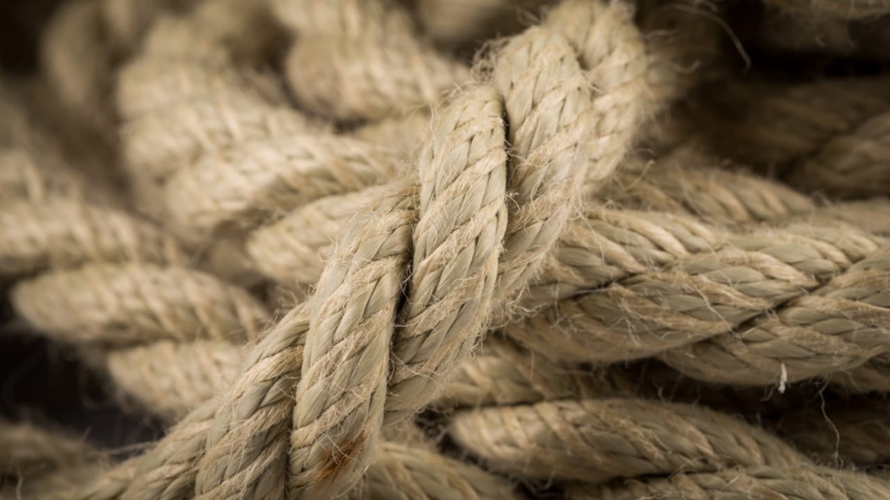 Emergency Prep on a Budget: 15 Smart Finds from Dollar Tree - Rope dp666702446