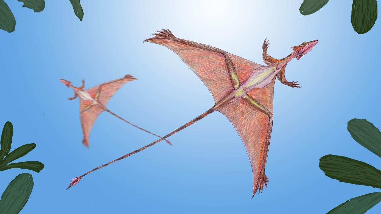 10 of the Weirdest Extinct Animals You've Never Heard Of 9 10 of the Weirdest Extinct Animals You've Never Heard Of -