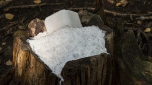 Epsom Salt for Stump Removal: Cheap, Easy, but Does It Work? 1 Epsom Salt for Stump Removal: Cheap, Easy, but Does It Work? - Stone salt for animals ss1223544799