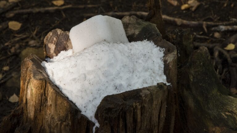 Epsom Salt for Stump Removal: Cheap, Easy, but Does It Work? 5 Epsom Salt for Stump Removal: Cheap, Easy, but Does It Work? - Stone salt for animals ss1223544799