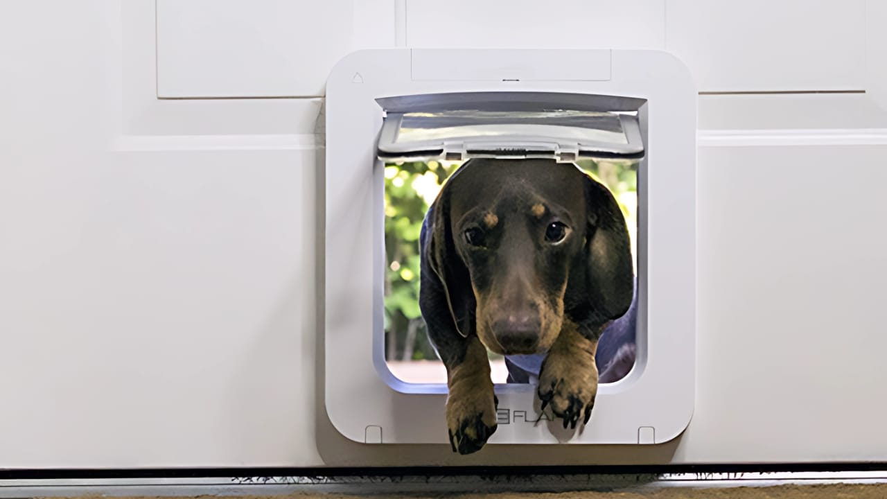17 Apps Every Pet Owner Should Download Right Now 13 17 Apps Every Pet Owner Should Download Right Now - Sureflap Smart Pet Door