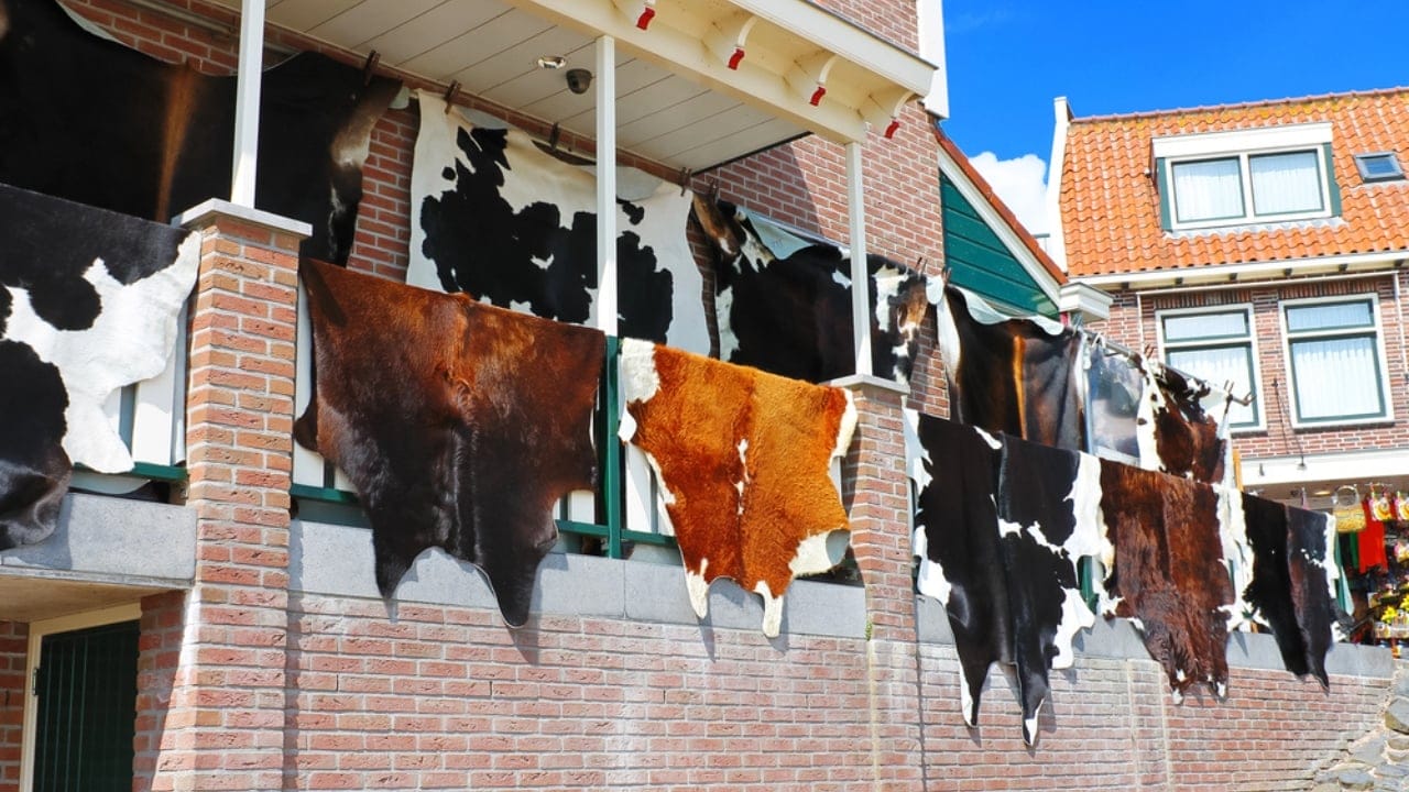 Building Resilience: 27 Pioneer Skills to Master in Uncertain Times 17 Building Resilience: 27 Pioneer Skills to Master in Uncertain Times - Tanning Hides dp12303489