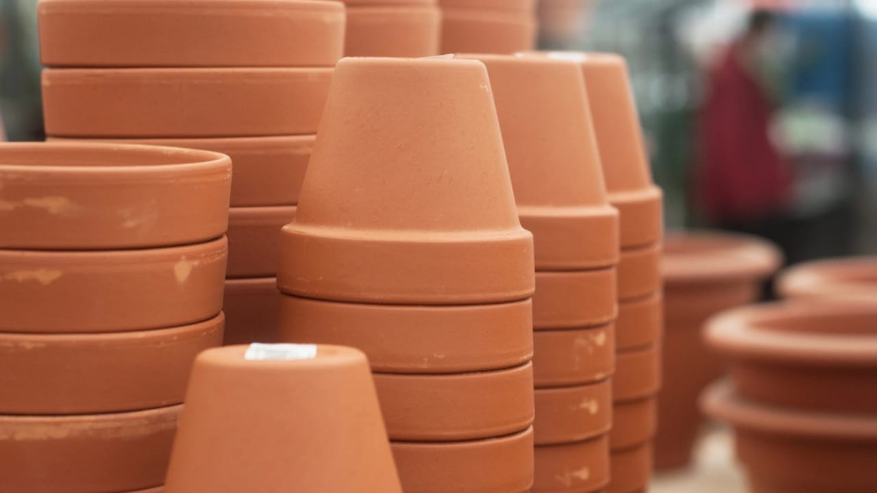 12 Houseplants That Actually Prefer Staying Pot-Bound - Terra cotta pot dp187589142