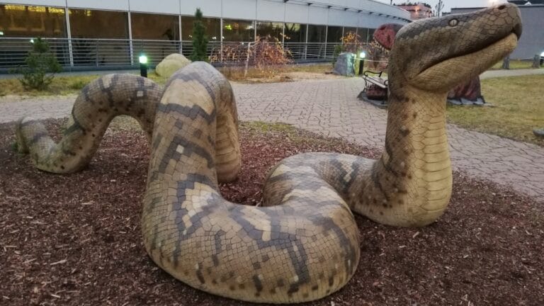 14 Ancient Beasts That Would Make T-Rex Look Tame 1 14 Ancient Beasts That Would Make T-Rex Look Tame - Titanoboa OC Harfa Praha wc