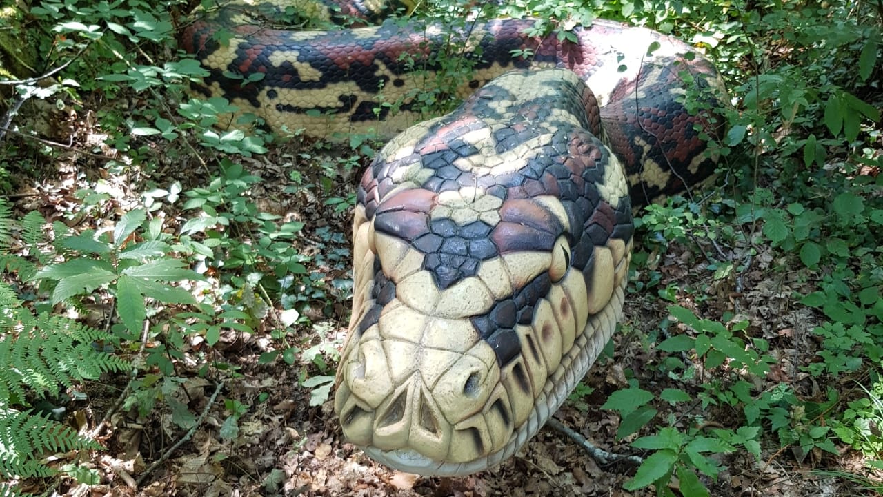 14 Ancient Beasts That Would Make T-Rex Look Tame 4 14 Ancient Beasts That Would Make T-Rex Look Tame - Titanoboa wc