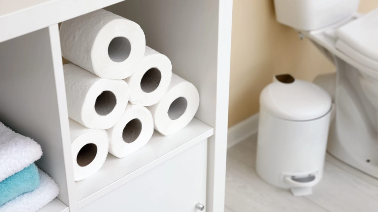 Emergency Prep on a Budget: 15 Smart Finds from Dollar Tree - Toilet paper rolls on cabinet shelf dp227883080