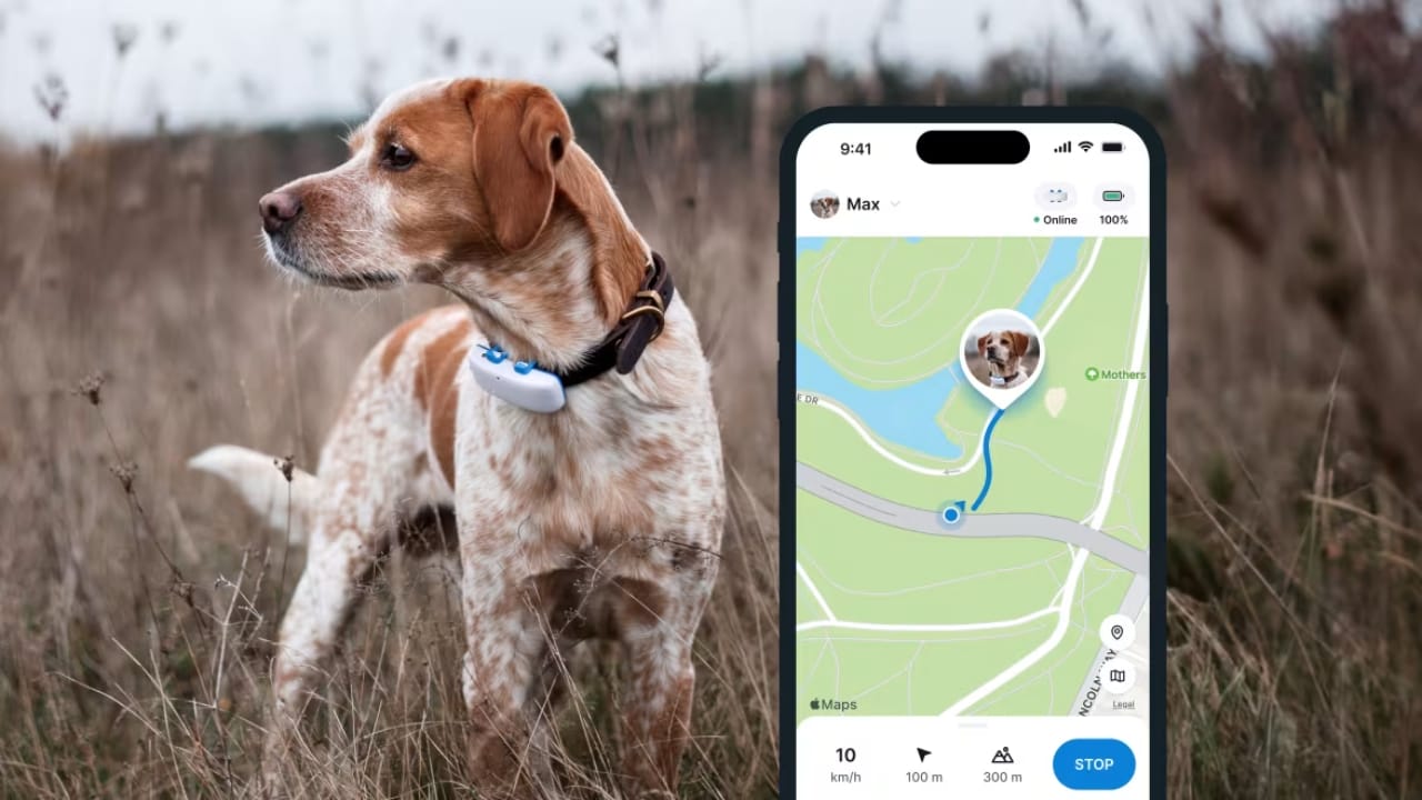 17 Apps Every Pet Owner Should Download Right Now 9 17 Apps Every Pet Owner Should Download Right Now - Tractive GPS Dog LTE Tracker App
