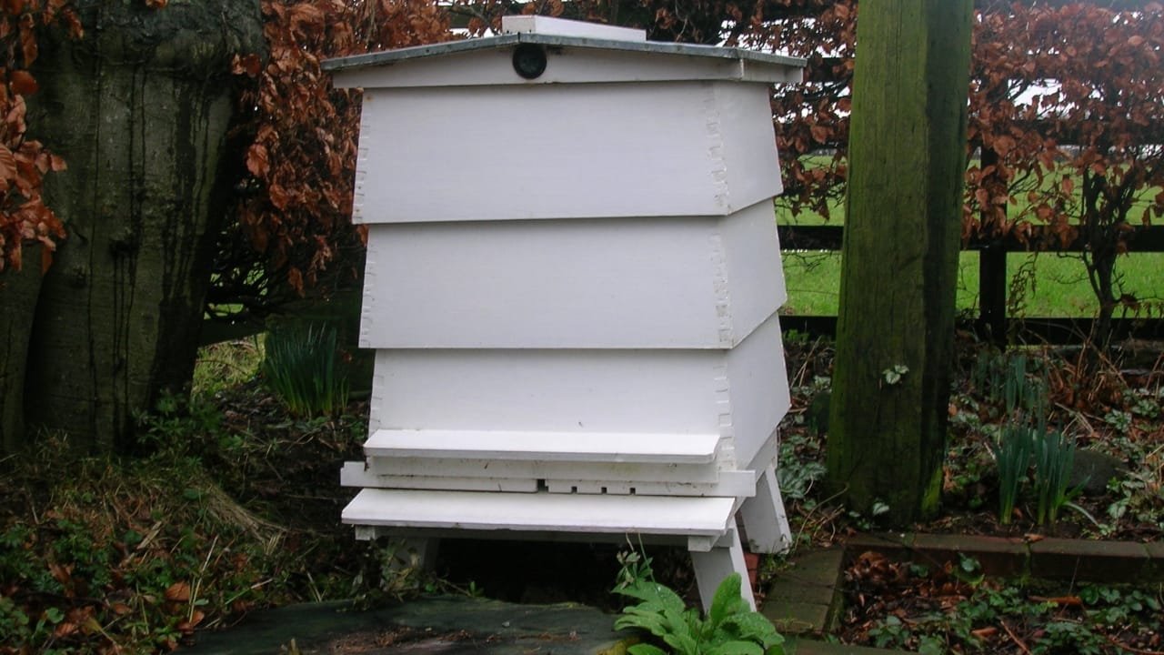 New to Beekeeping? 10 Hive Styles You Need to Know 9 New to Beekeeping? 10 Hive Styles You Need to Know - WBC Hive wc
