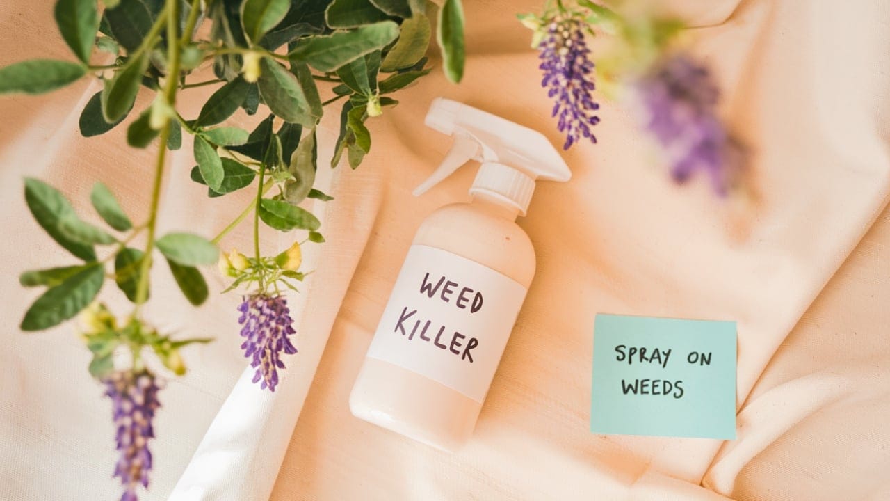 15 Things You Can Easily Make at Home Instead of Buying - WEED KILLER homemade