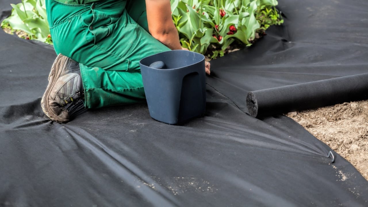 Say Goodbye to Driveway Weeds with These 15 Methods 9 Say Goodbye to Driveway Weeds with These 15 Methods - Weed Barrier Sheet dp26991309