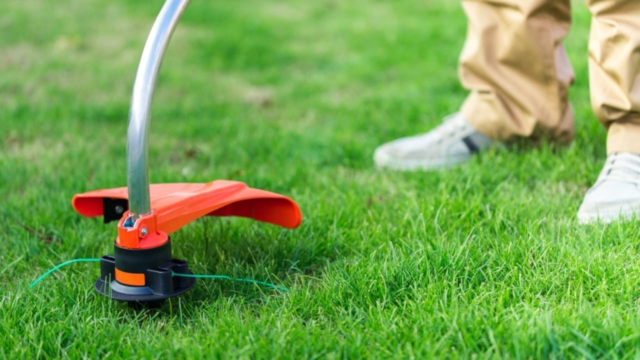 Say Goodbye to Driveway Weeds with These 15 Methods 12 Say Goodbye to Driveway Weeds with These 15 Methods - Weed Whacker dp207499650