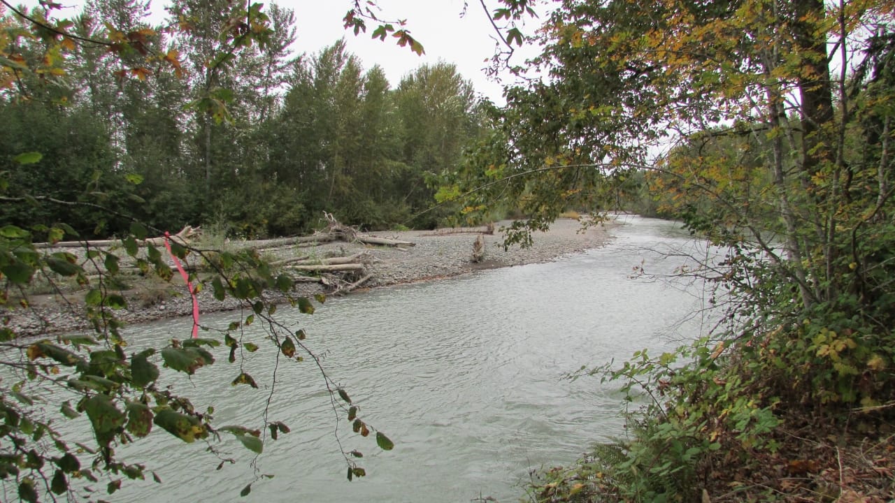 The 10 Most Snake-Heavy Rivers in America —Proceed with Caution - White River wc
