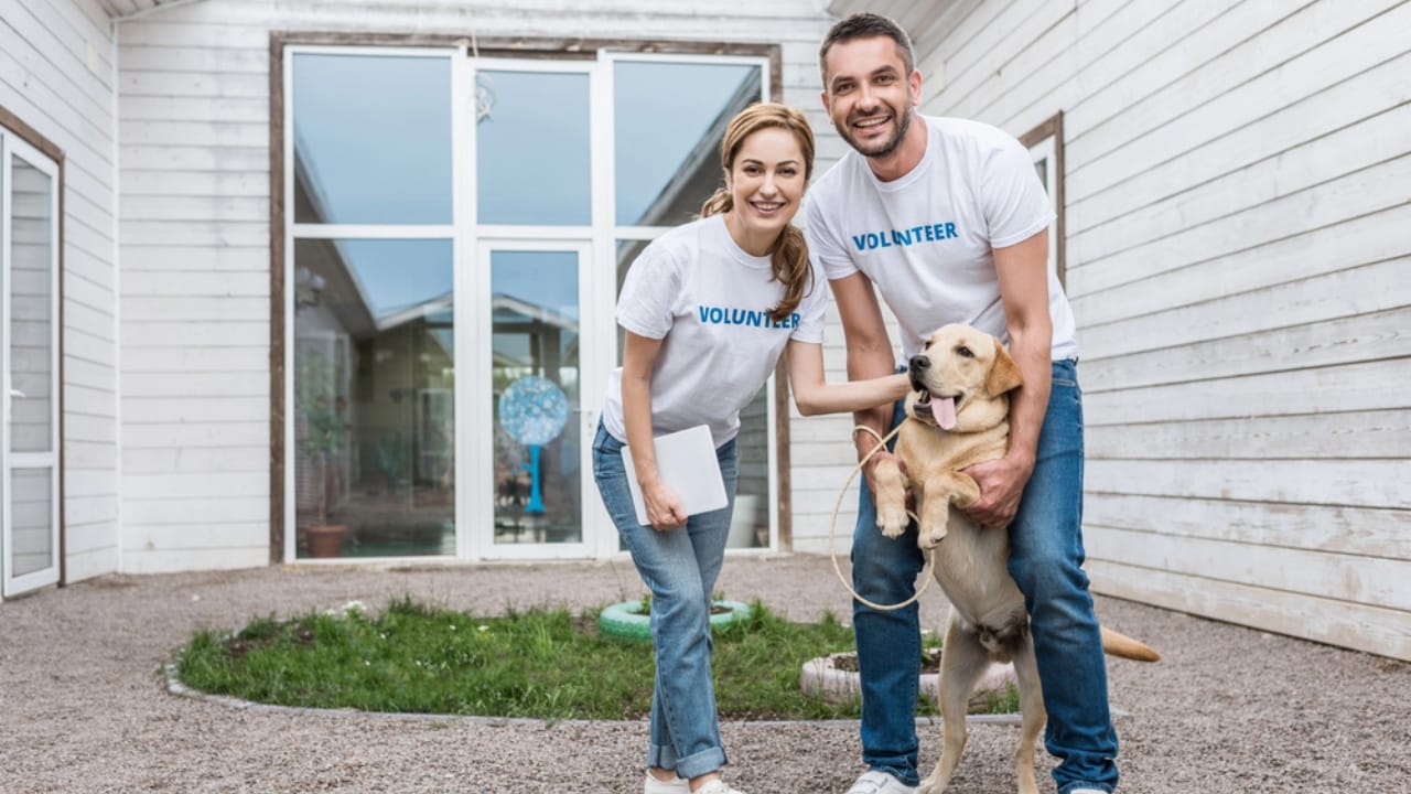 Why ‘Adopt, Don’t Shop’ Matters: 18 Reasons to Skip the Breeder 14 Why ‘Adopt, Don’t Shop’ Matters: 18 Reasons to Skip the Breeder - adopting a dog dp204322920