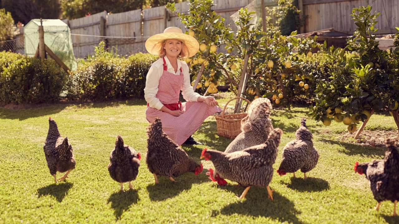 16 Reasons Backyard Chickens Belong in Your Home’s Backyard 10 16 Reasons Backyard Chickens Belong in Your Home’s Backyard - backyard chicken ss383995627