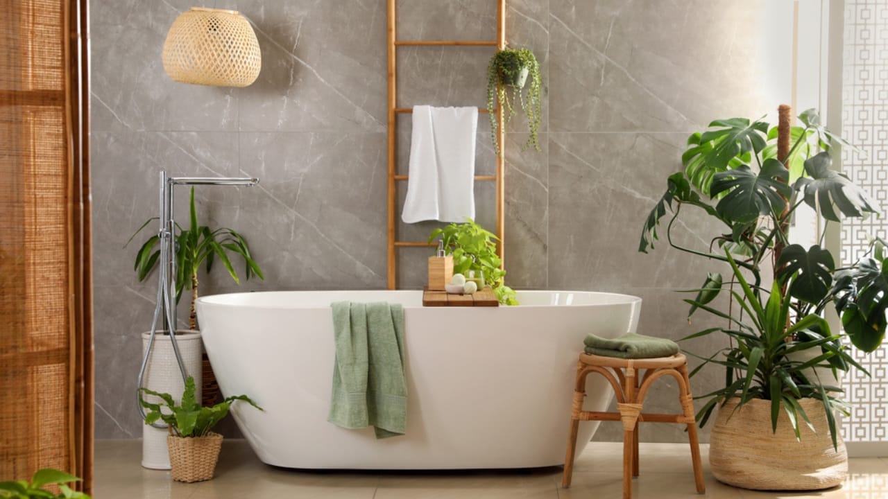 Bathroom Plants Made Easy: 15 Care Tips for a Lush Look - bath tub dp569303576