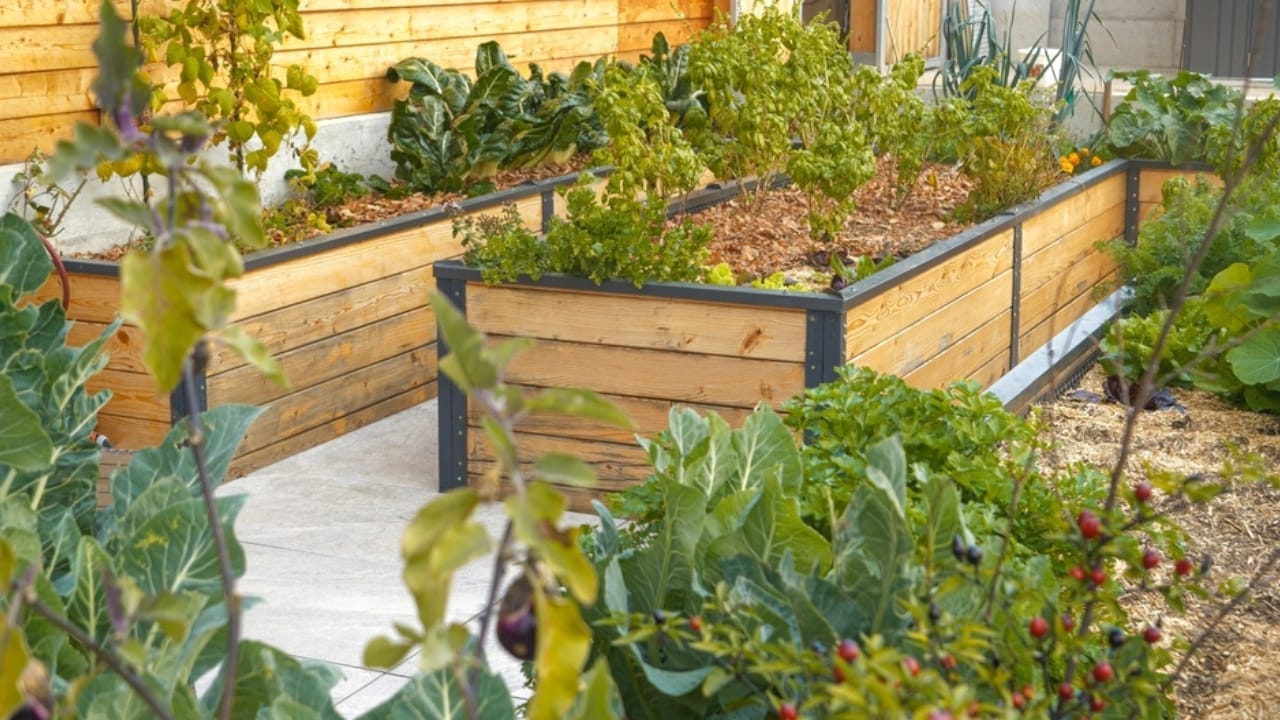 How to Grow More with Less: 12 Permaculture Principles for a Low-Maintenance Garden - beautiful permaculture ss2263361457
