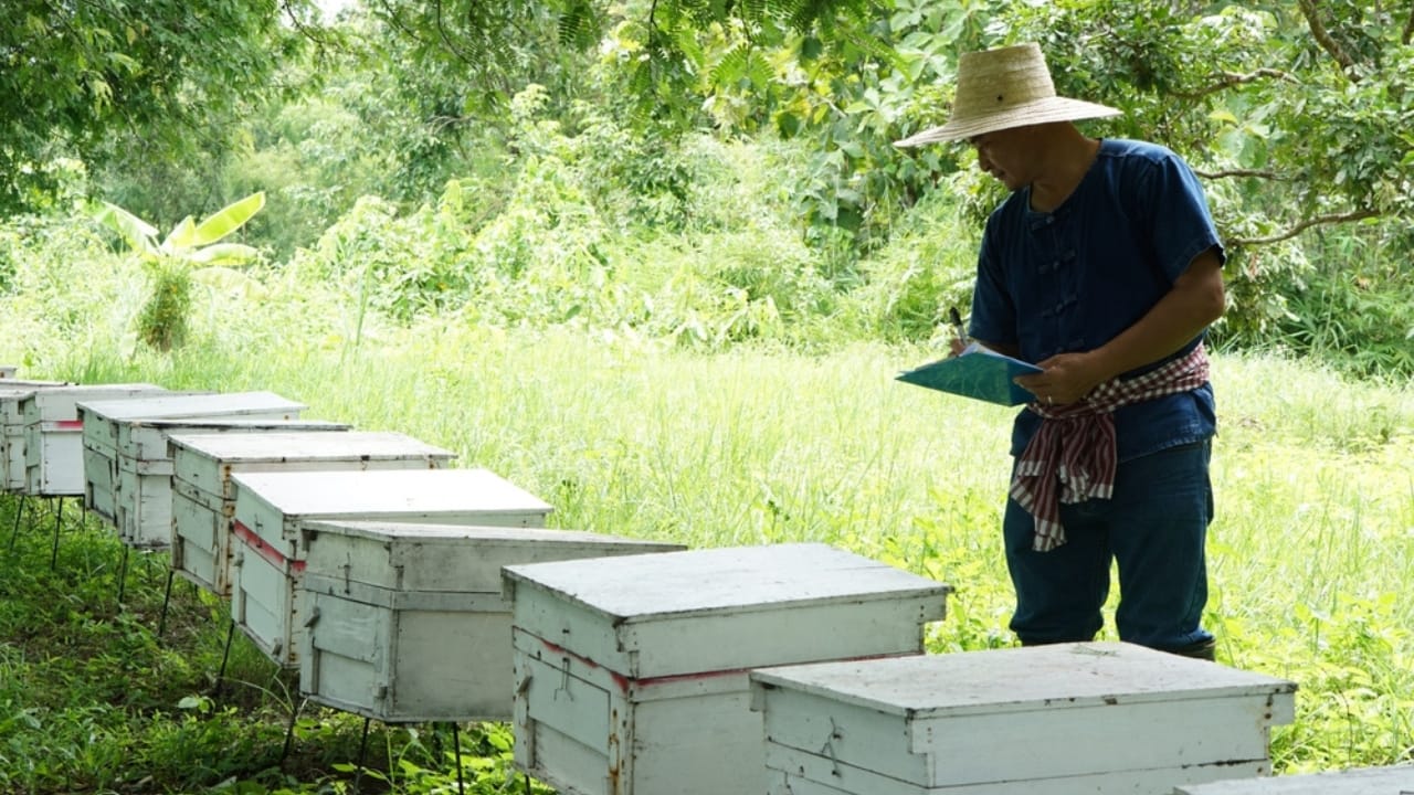 30 Rookie Beekeeping Mistakes to Avoid 18 30 Rookie Beekeeping Mistakes to Avoid - bee keeper record ss2218729083