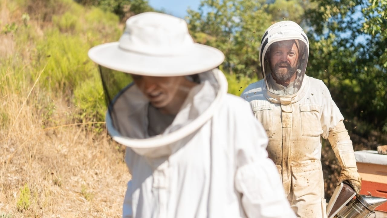 30 Rookie Beekeeping Mistakes to Avoid 16 30 Rookie Beekeeping Mistakes to Avoid - beekeeper gear ss2219723737