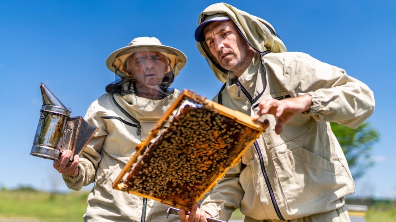 Bee-Ready: 15 Tips Every New Beekeeper Should Know 4 Bee-Ready: 15 Tips Every New Beekeeper Should Know - beekeepers dp669334726