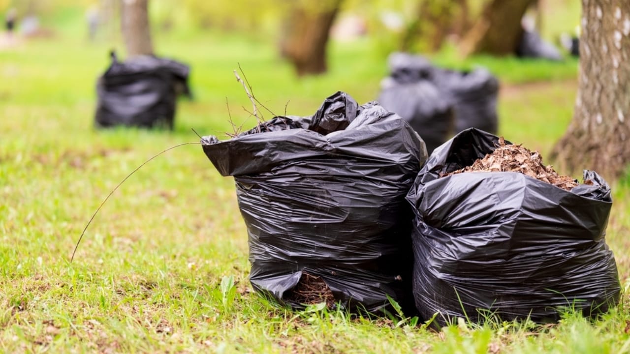 Turning Leaves into Gold: 10 Green Ways to Use Fall Foliage 7 Turning Leaves into Gold: 10 Green Ways to Use Fall Foliage - black plastic bags with tree leaves ss2459368411