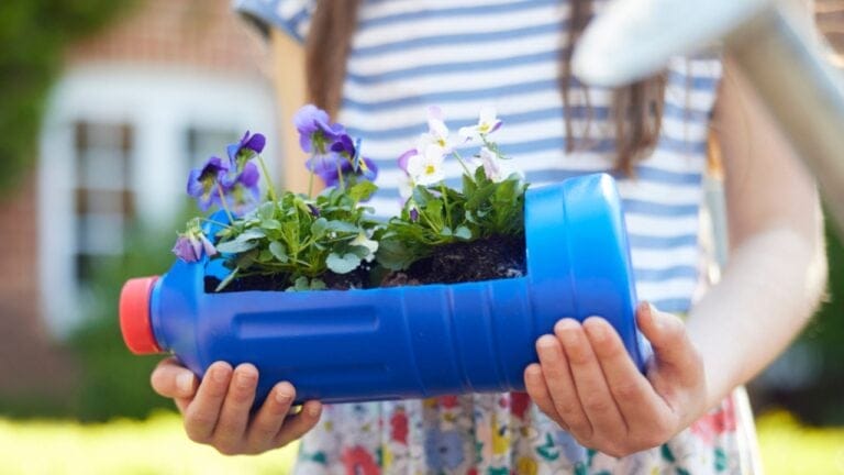 20 Creative Ways to Reuse Plastic Bottles in Your Home, Garden & Crafts - bottle with plants dp566142156