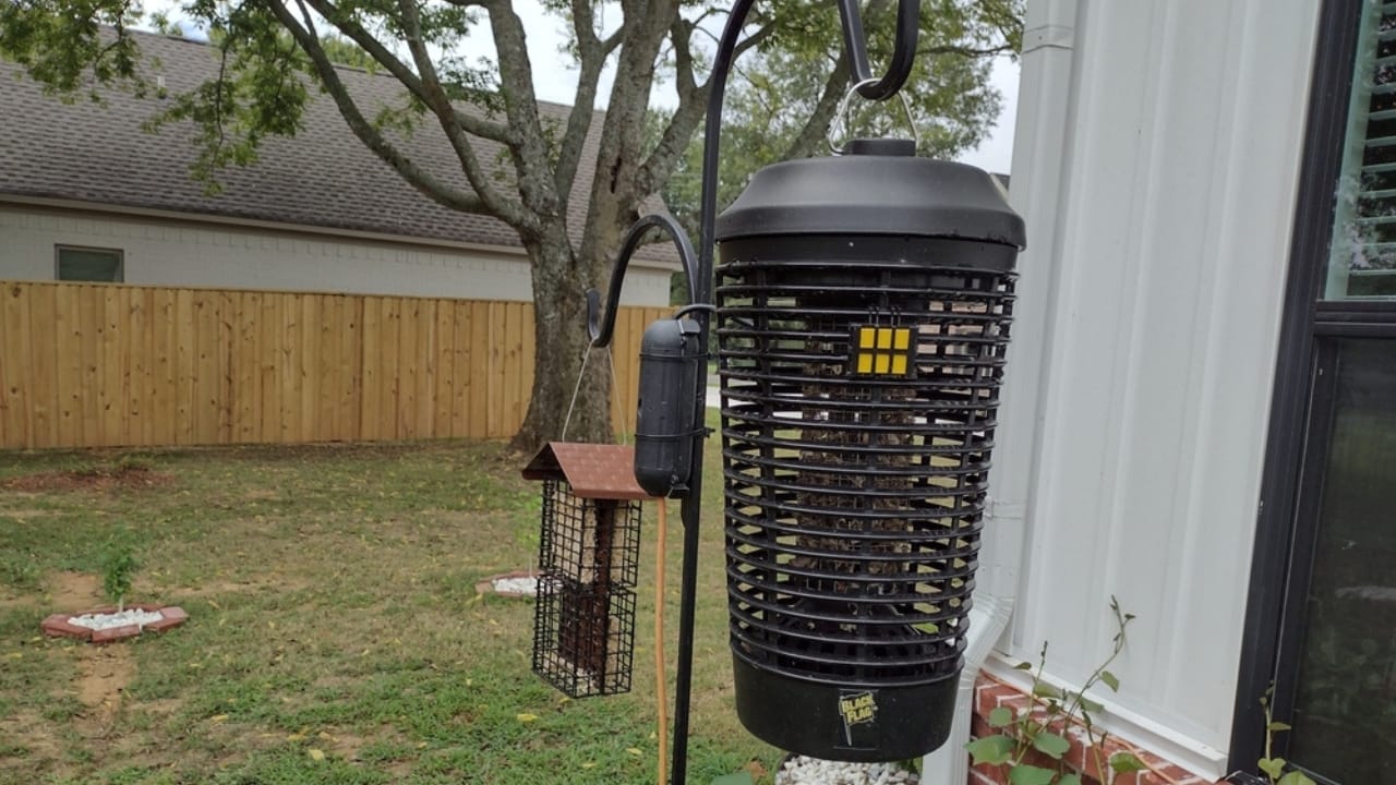 16 Reasons Backyard Chickens Belong in Your Home’s Backyard 3 16 Reasons Backyard Chickens Belong in Your Home’s Backyard - bug zapper ss2197118243