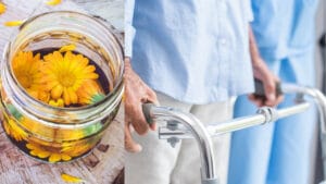 Natural Enzyme Blocker Found in Flowers Offers New Hope for MS & Cancer Therapy 1 Natural Enzyme Blocker Found in Flowers Offers New Hope for MS & Cancer Therapy - calendula and scleoris ss14579632132340940201