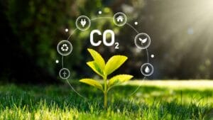 Climate Models Fall Short as Plants Absorb 31% More Carbon Than Expected 1 Climate Models Fall Short as Plants Absorb 31% More Carbon Than Expected - carbon dioxide ss2219268453