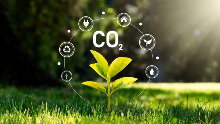 Climate Models Fall Short as Plants Absorb 31% More Carbon Than Expected 1 Climate Models Fall Short as Plants Absorb 31% More Carbon Than Expected - carbon dioxide ss2219268453