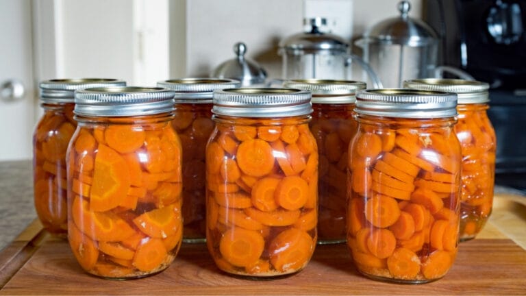 How to Can Carrots Like a Pro: Tips for Preserving & Saving Money 7 How to Can Carrots Like a Pro: Tips for Preserving & Saving Money - carrots in can dp421798652