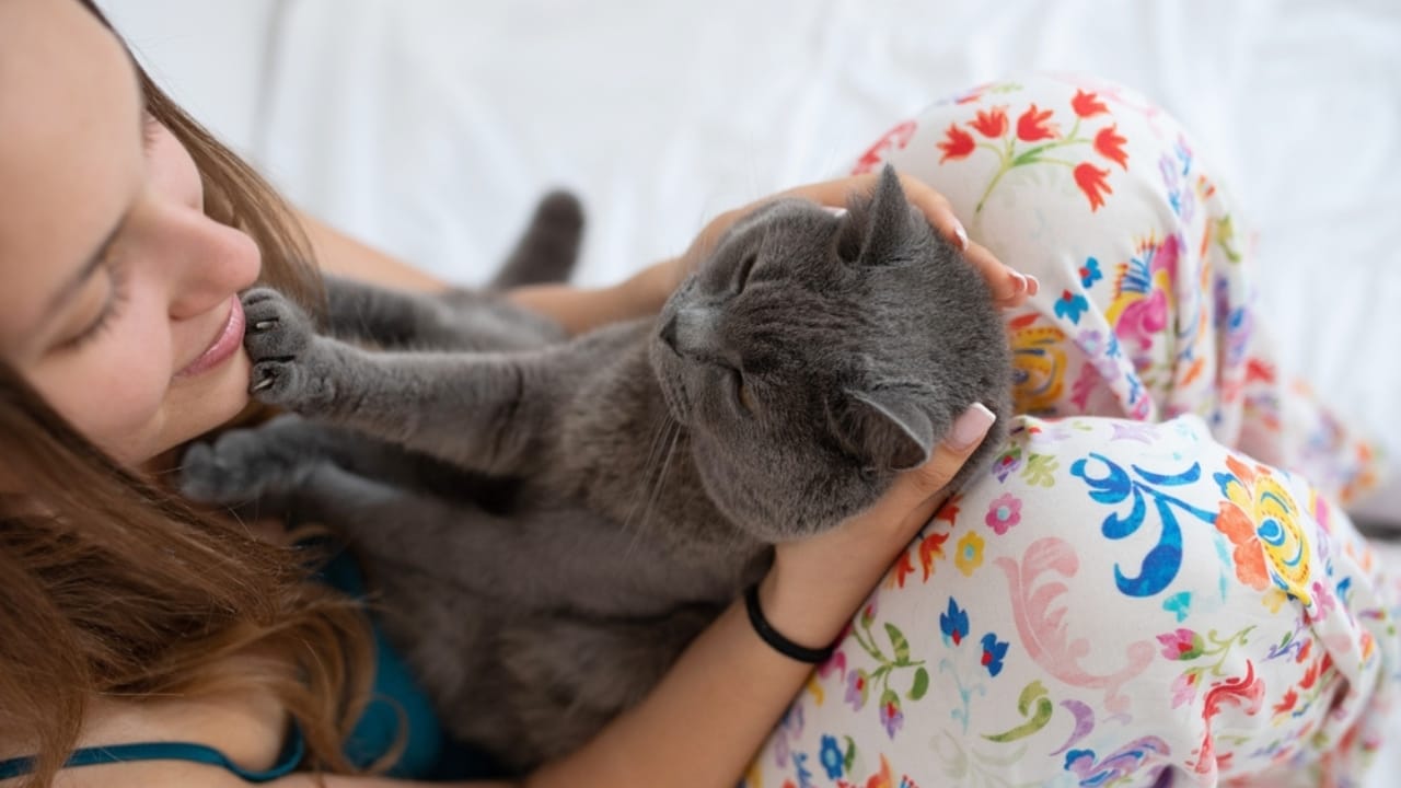 Cats Aren’t Just Cute—Here Are 20 Life-Changing Benefits - cat and girl paw ss2205455177