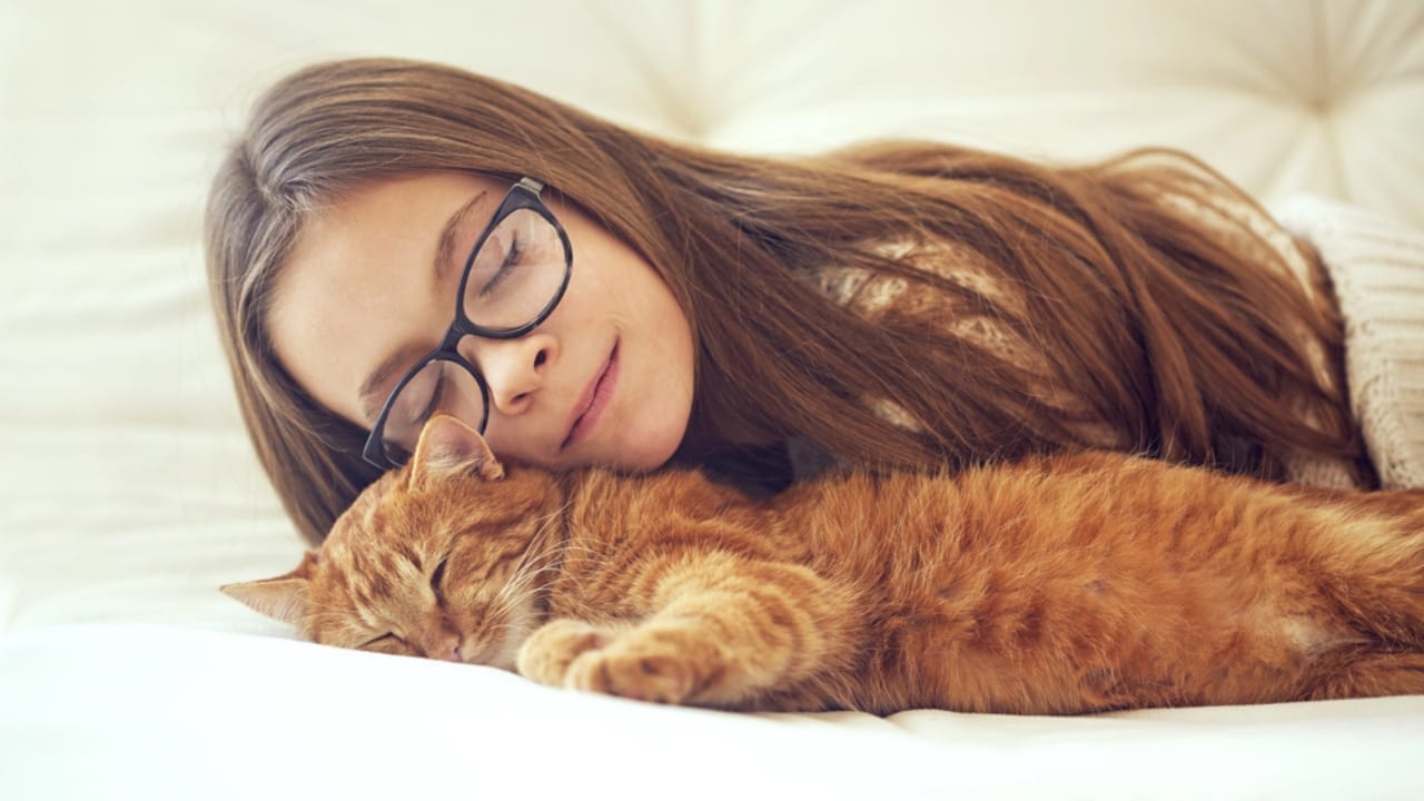 Cats Aren’t Just Cute—Here Are 20 Life-Changing Benefits - cat attention dp67244663