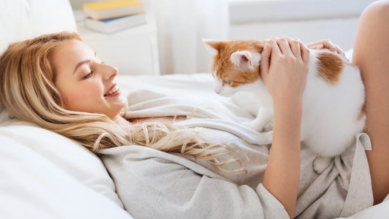 10 Comforting Reasons Cats Always Sleep Next to Their Humans - cats bond dp118793332