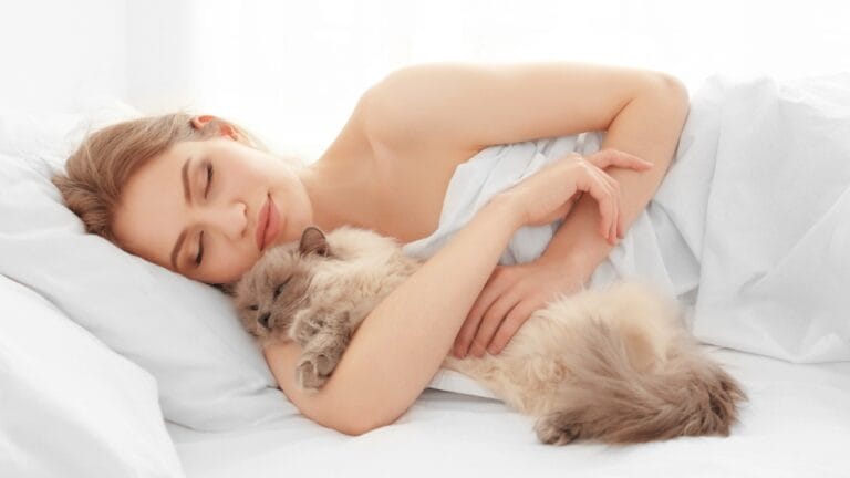 10 Comforting Reasons Cats Always Sleep Next to Their Humans 9 10 Comforting Reasons Cats Always Sleep Next to Their Humans - cats with owner dp146174537