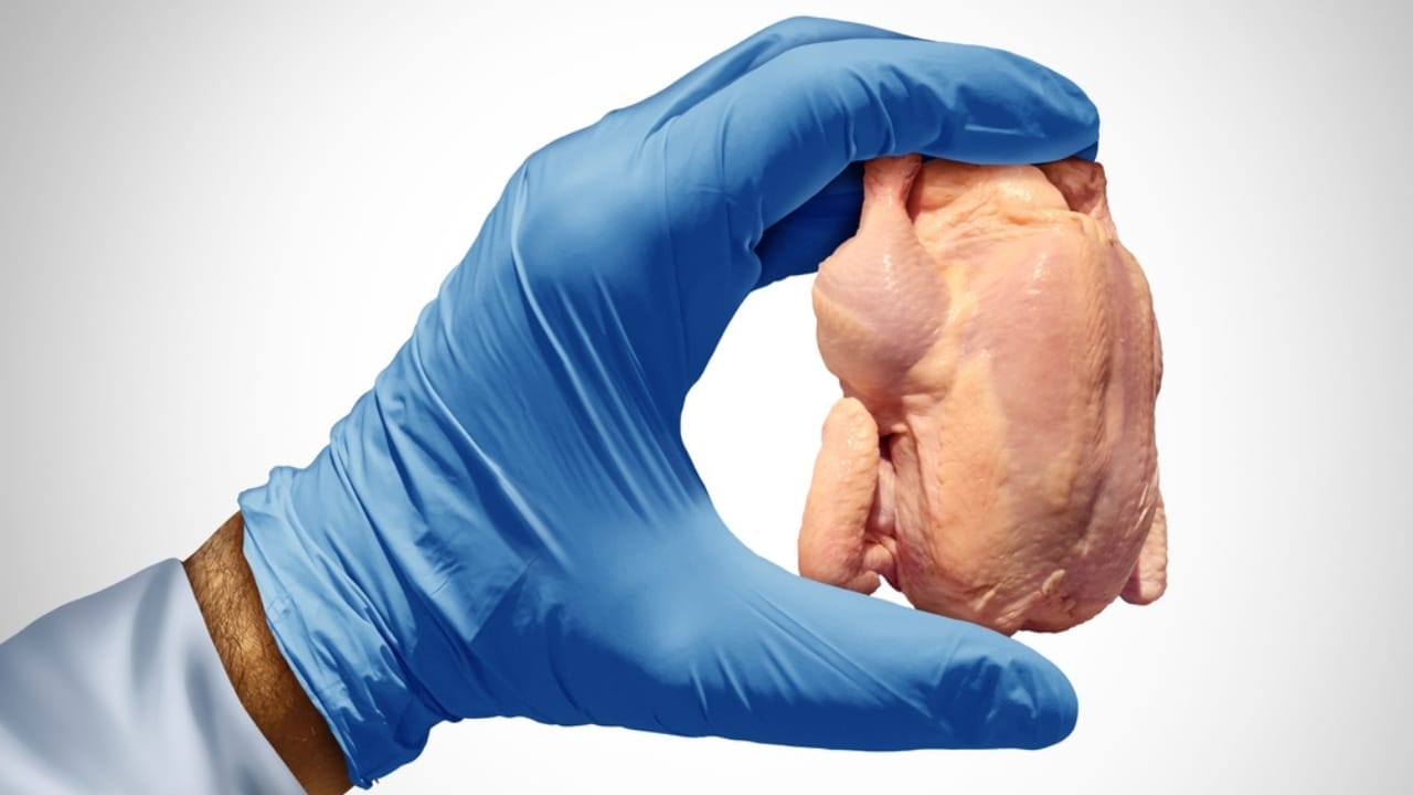 Lab-Grown Chicken Lands on Shelves: Your Guide to Spotting Cultivated Meat 2 Lab-Grown Chicken Lands on Shelves: Your Guide to Spotting Cultivated Meat - cell cultivated meat ss2322838883