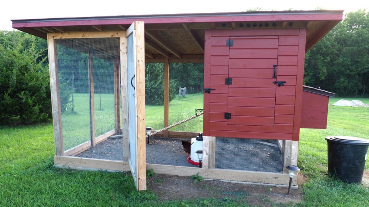 15 Must-Haves for a Safe & Happy Chicken Coop 13 15 Must-Haves for a Safe & Happy Chicken Coop - chicken coop dp83376388