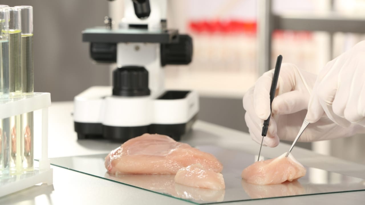 Lab-Grown Chicken Lands on Shelves: Your Guide to Spotting Cultivated Meat 4 Lab-Grown Chicken Lands on Shelves: Your Guide to Spotting Cultivated Meat - chicken inspecting ss1243061185
