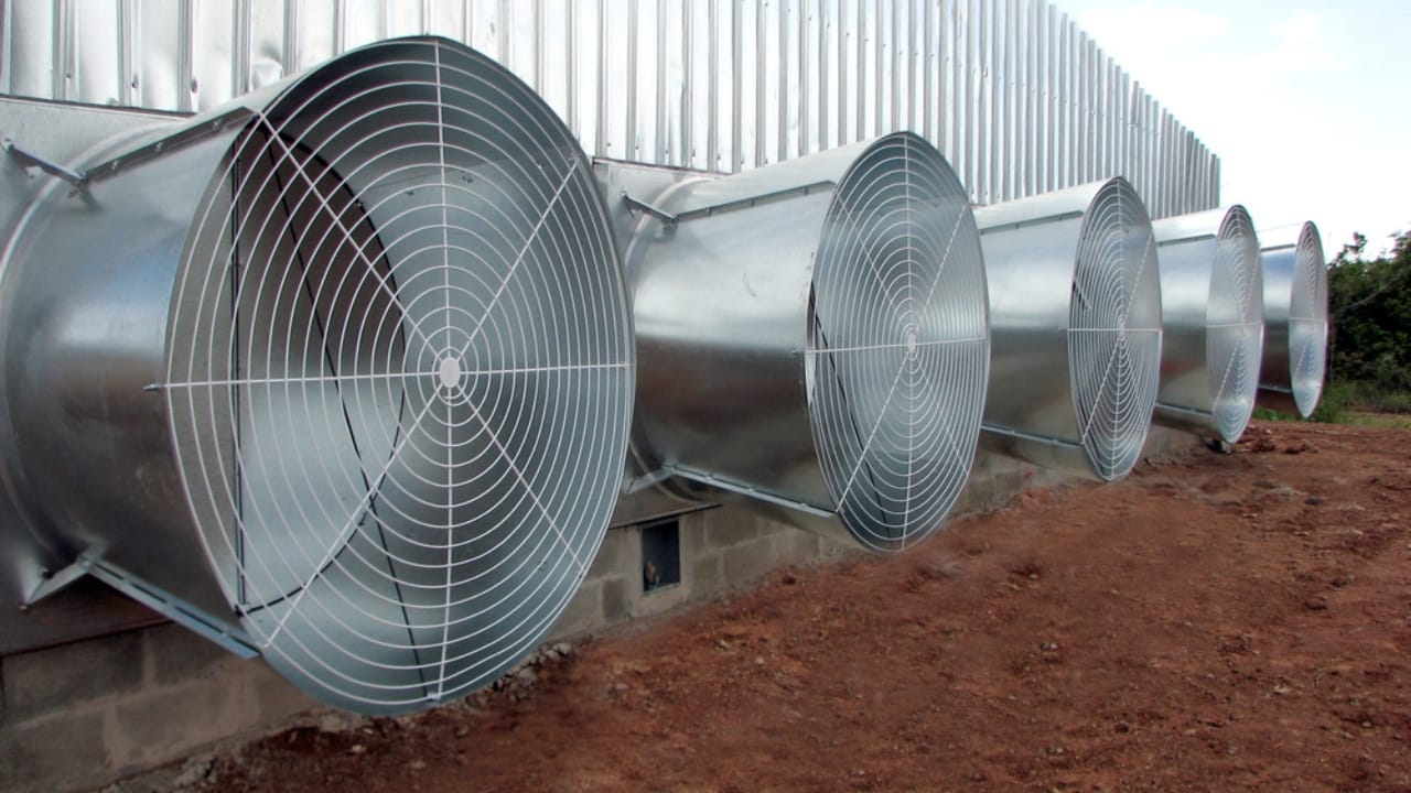 15 Common Mistakes to Avoid When Raising Backyard Chickens 13 15 Common Mistakes to Avoid When Raising Backyard Chickens - chicken ventilation ss546559768