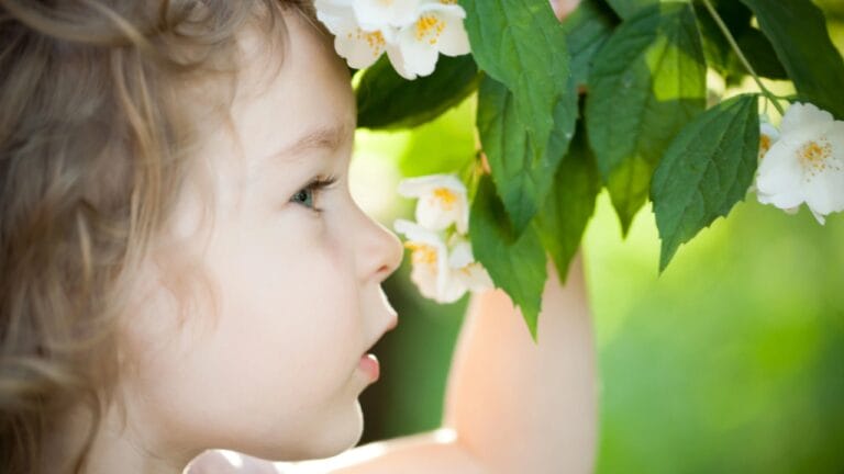 17 Plants That Add Beauty & Amazing Scents to Your Yard 4 17 Plants That Add Beauty & Amazing Scents to Your Yard - child with jasmine flower dp9152086