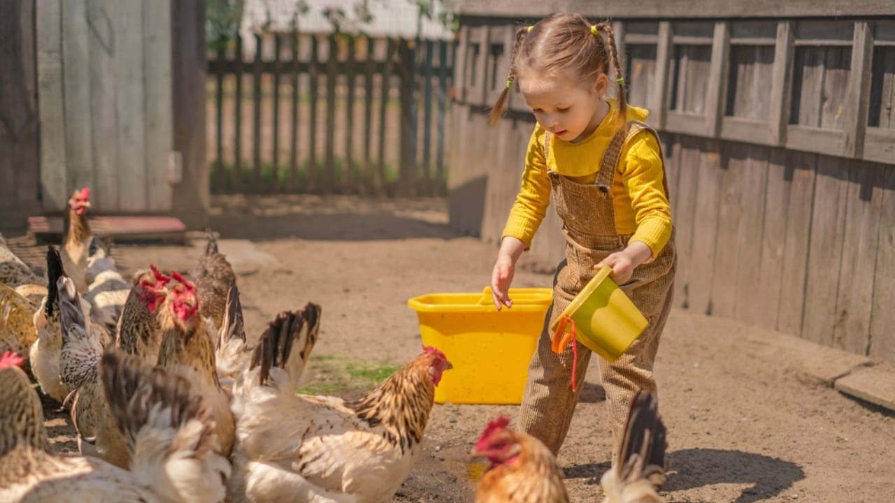 16 Reasons Backyard Chickens Belong in Your Home’s Backyard 5 16 Reasons Backyard Chickens Belong in Your Home’s Backyard - children with chicken ss2286935881