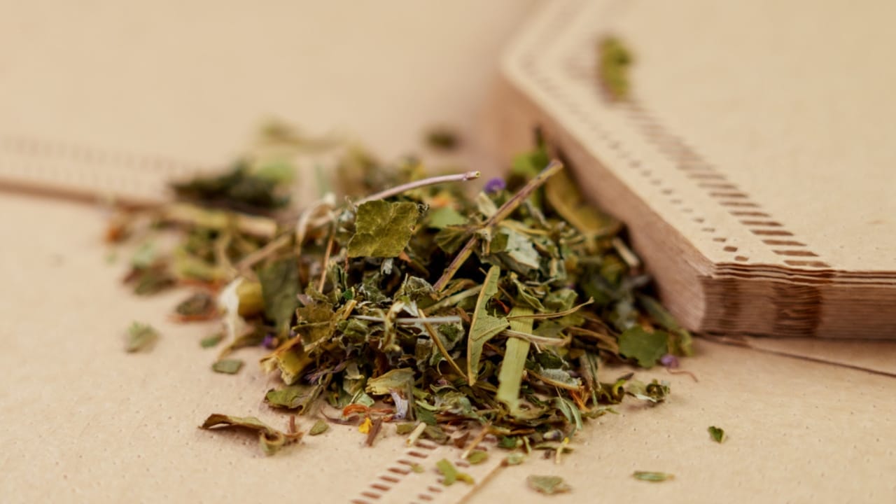 More Than Just for Coffee: 25 Life-Saving Uses for Coffee Filters - coffee filter with herbal green tea dp612268992