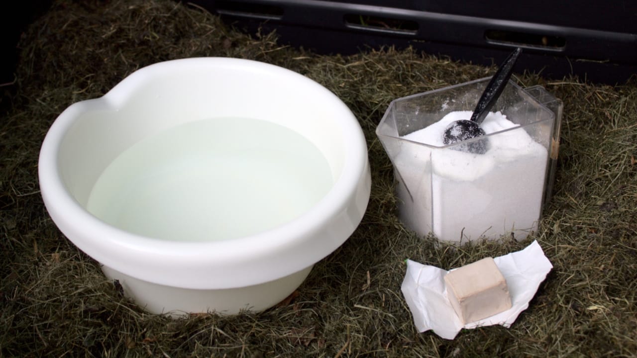 18 Composting Tips Every Beginner Needs to Turn Scraps into Garden Gold 10 18 Composting Tips Every Beginner Needs to Turn Scraps into Garden Gold - compost activator ss1807595767