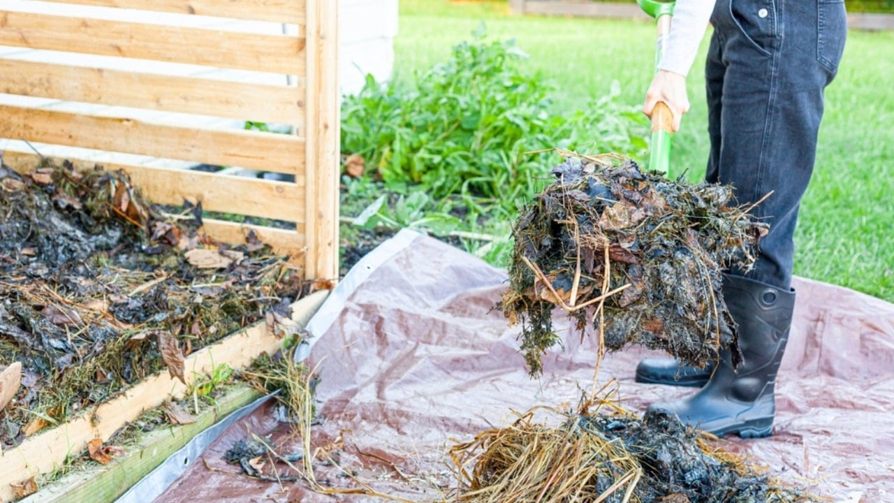 18 Composting Tips Every Beginner Needs to Turn Scraps into Garden Gold 12 18 Composting Tips Every Beginner Needs to Turn Scraps into Garden Gold - compost bin odor ss2066202791