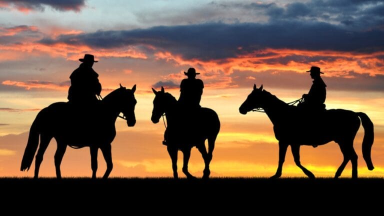 15 States That Embody the Spirit of Cowboys & the Old West - cowboy dp17368113