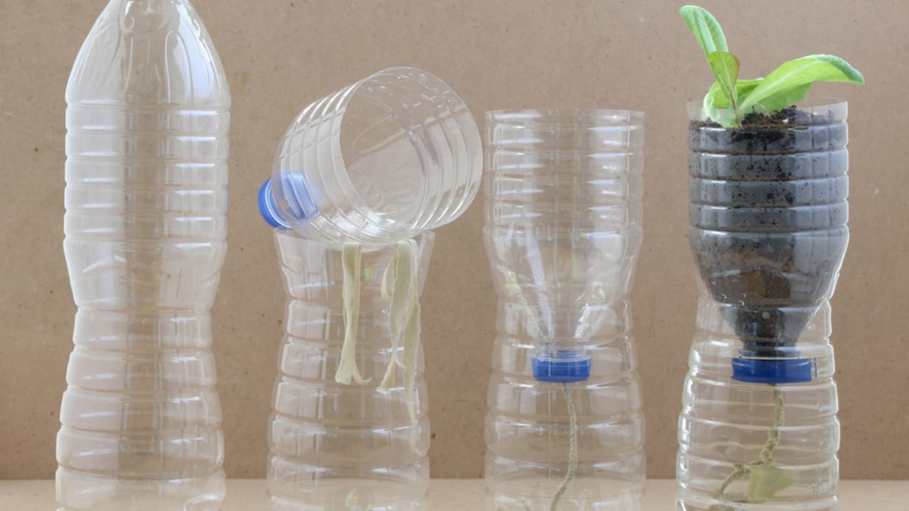 How to Use a Water Wick for Maintaining Plant Hydration When You’re Not Home - craft water wick ss1832349565