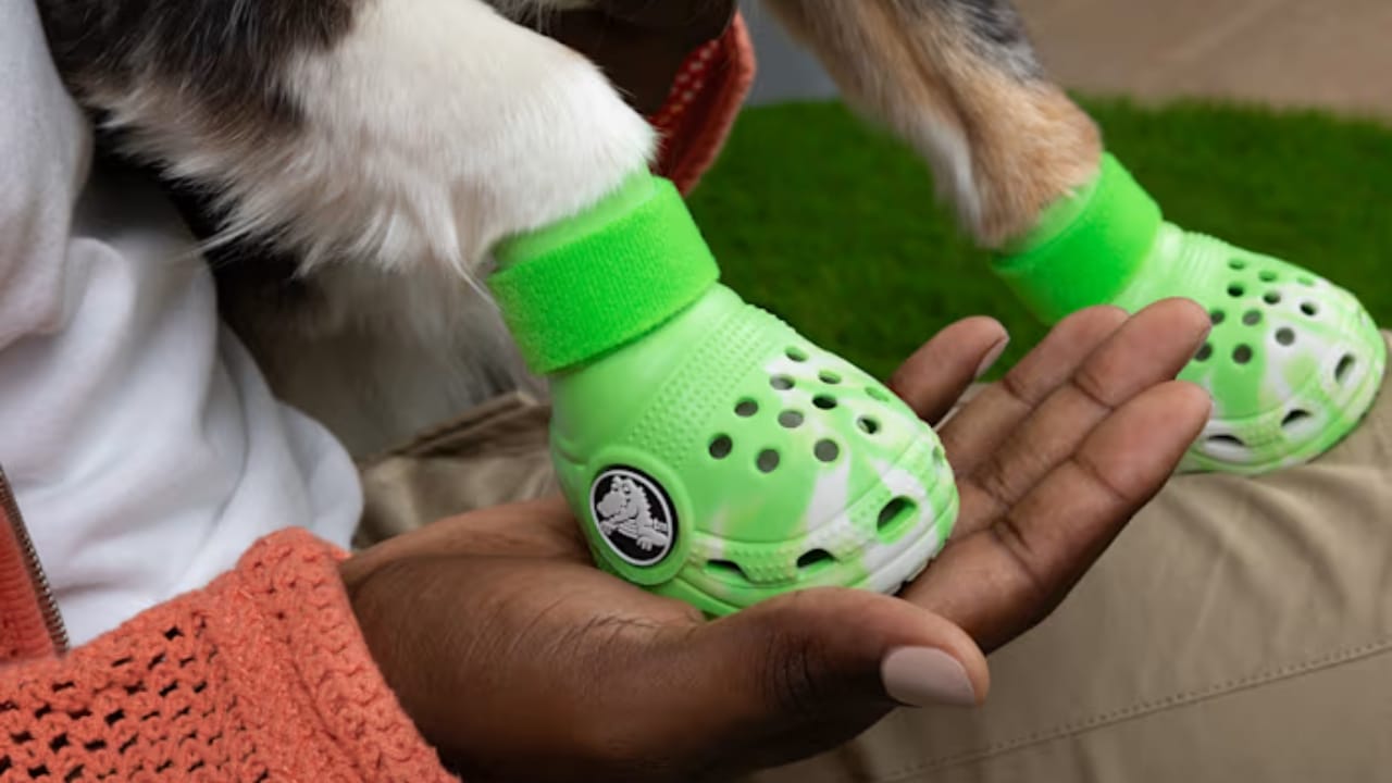Now Your Pup Can Enjoy Wearing Crocs, Too 3 Now Your Pup Can Enjoy Wearing Crocs, Too - crocs dog shoe 2
